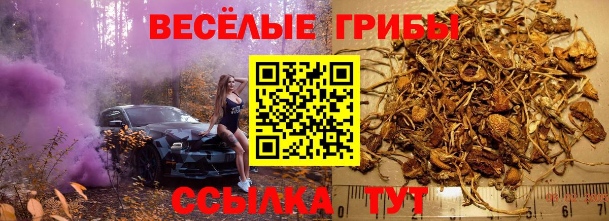 Светлоград  Псилоцибиновые грибы MAGIC MUSHROOMS  Вход с VPN 